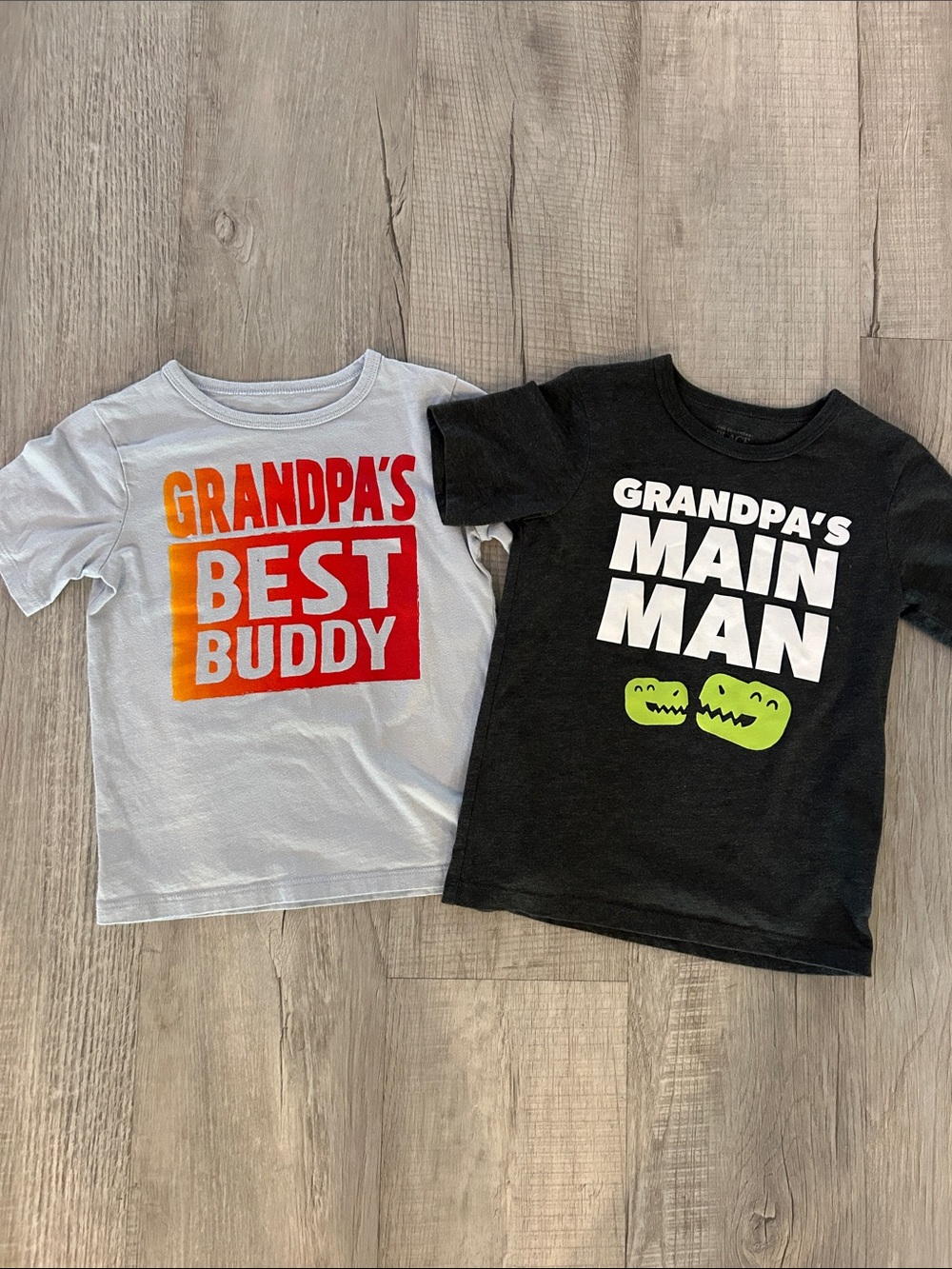 Bundle of (2) The Children’s Place Toddler Boy’s “Grandpa” Shirts, Size 5T